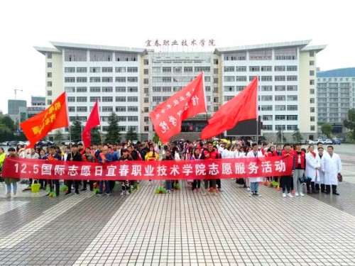 志愿活动 青春志愿行,悠悠赤子心 (4).jpg